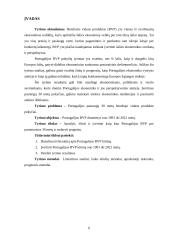 Portugalijos pastarųjų 30 metų BVP tyrimas 5 puslapis