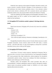 Portugalijos pastarųjų 30 metų BVP tyrimas 7 puslapis