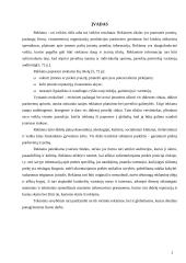 Globalinė reklama 3 puslapis