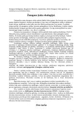 Globalinės ekologijos problemos 2 puslapis