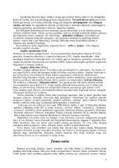 Globalinės ekologijos problemos 3 puslapis