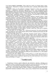 Globalinės ekologijos problemos 4 puslapis