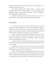 Globaliniai konfliktai 18 puslapis