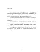 Globaliniai konfliktai 3 puslapis