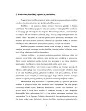 Globaliniai konfliktai 4 puslapis