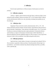 Infliacijos ir nedarbo sąveika (referatas) 3 puslapis