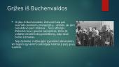Dievų miškas – Fricas Zelionkė 4 puslapis