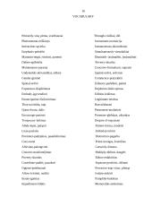 Globalisation 15 puslapis