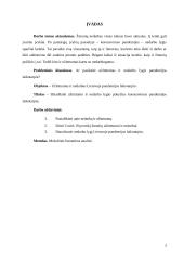 Užimtumas ir nedarbas pandemijos laikotrapiu 2 puslapis