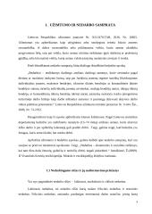 Užimtumas ir nedarbas pandemijos laikotrapiu 3 puslapis