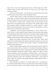 Globalizacijos veiksnių įtaka valdymui 11 puslapis