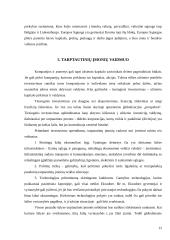 Globalizacijos veiksnių įtaka valdymui 12 puslapis