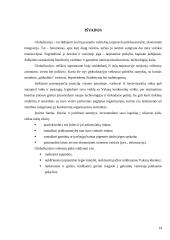 Globalizacijos veiksnių įtaka valdymui 14 puslapis