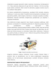 Loginių inverterių grandinė su šviestukais 6 puslapis