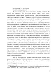 Globalizacija ir tarptautiniai santykiai 4 puslapis