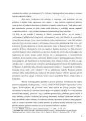 Globalizacija ir tarptautiniai santykiai 6 puslapis