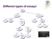 Different types of essays 13 puslapis