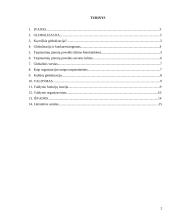 Globalizacija ir valdymas 2 puslapis