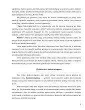 Globalizacija ir valdymas 4 puslapis