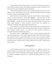 Globalizacija ir valdymas 8 puslapis