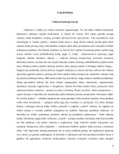 Globalizacija ir valdymas 9 puslapis