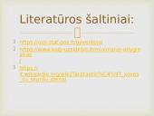 Skurdas ir jo mažinimo galimybės Lietuvoje 13 puslapis