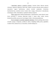 Globalizacijos pasekmės skurdui 18 puslapis