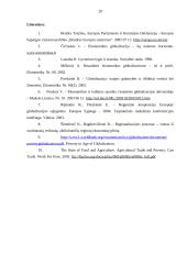 Globalizacijos pasekmės skurdui 20 puslapis