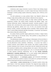 Globalizacijos pasekmės skurdui 4 puslapis