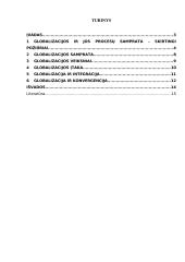 Globalizacijos procesų sampratos 2 puslapis