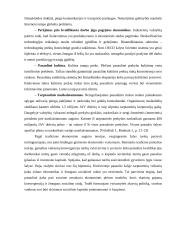 Globalizacijos procesų sampratos 12 puslapis