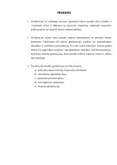 Globalizacijos procesų sampratos 13 puslapis