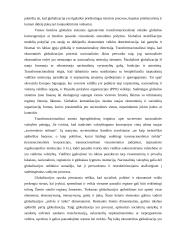 Globalizacijos procesų sampratos 7 puslapis