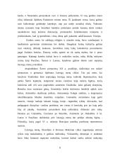 Gotika ir romanika 8 puslapis