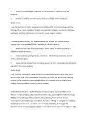 Brolių Kaino ir Abelio nesantaikos/maišto tema biblijoje ir Dž. Bairono poemoje. Planas 2 puslapis