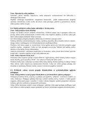 Užtikrinti vaikų saugumą ikimokyklinio ugdymo įstaigoje 2 puslapis