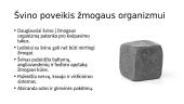 Švinas. Cheminio elemento pristatymas 4 puslapis