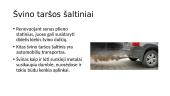 Švinas. Cheminio elemento pristatymas 5 puslapis