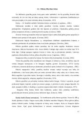 Graužikų įvairovė ir paplitimas 11 puslapis