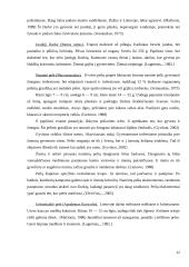 Graužikų įvairovė ir paplitimas 12 puslapis