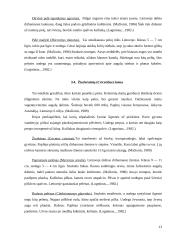 Graužikų įvairovė ir paplitimas 13 puslapis