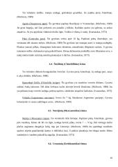 Graužikų įvairovė ir paplitimas 16 puslapis