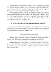 Graužikų įvairovė ir paplitimas 17 puslapis