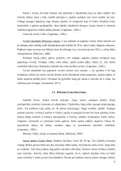 Graužikų įvairovė ir paplitimas 8 puslapis