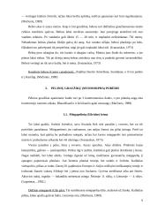 Graužikų įvairovė ir paplitimas 9 puslapis