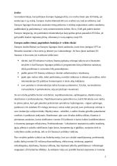 Europos audito rūmai (referatas) 2 puslapis