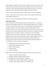 Europos audito rūmai (referatas) 3 puslapis