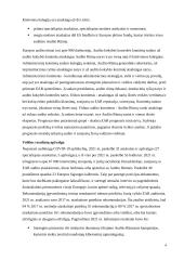 Europos audito rūmai (referatas) 4 puslapis