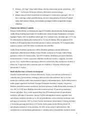 Europos audito rūmai (referatas) 5 puslapis