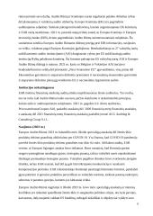 Europos audito rūmai (referatas) 6 puslapis